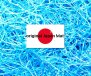Materiale filtrante stuoia giapponese JAPAN MAT 1m x 1m x 3,8 cm per filtro laghetto 