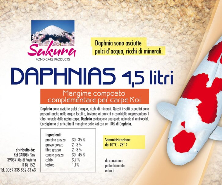 Daphnia - pulci dacqua 4,5 litri mangime per Koi, pesci rossi